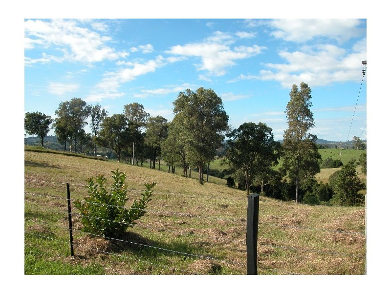 Wingham NSW 2429