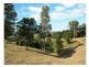 Wingham NSW 2429