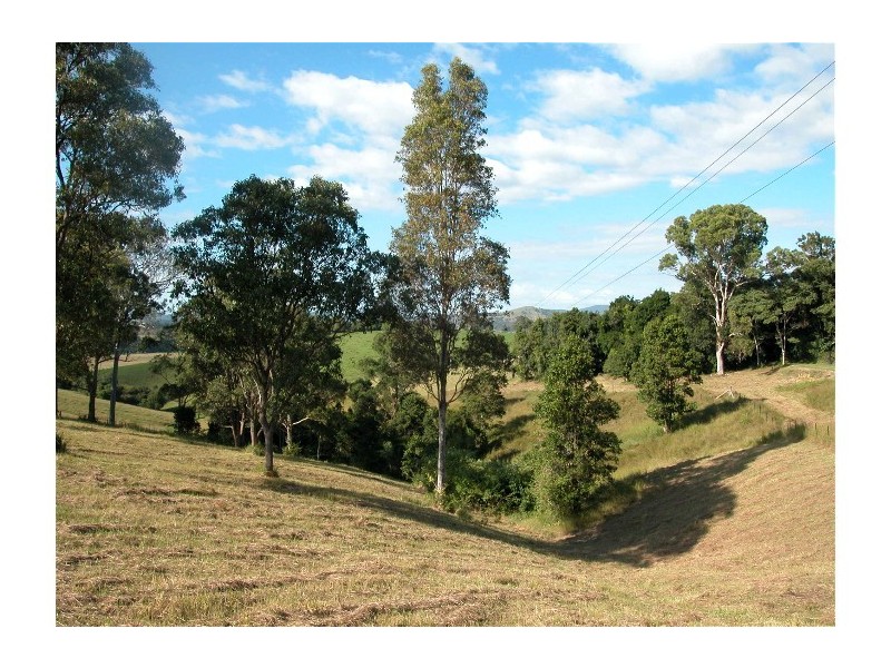 Wingham NSW 2429