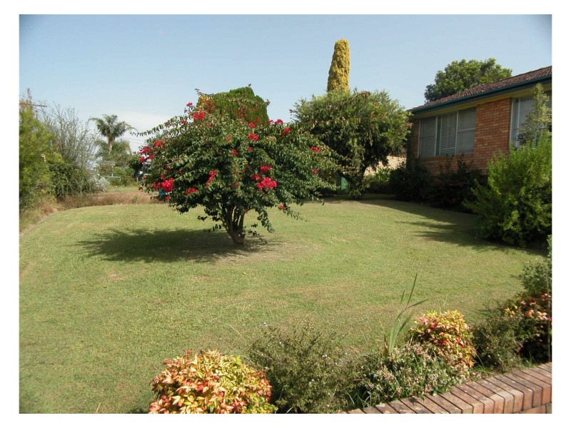 Wingham NSW 2429