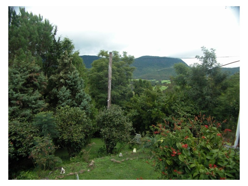 Mount George NSW 2424