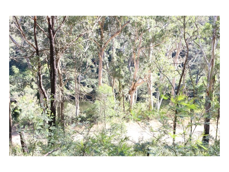 Caffreys Flat NSW 2424