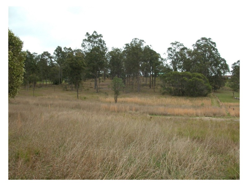 Wingham NSW 2429