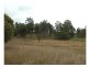 Wingham NSW 2429