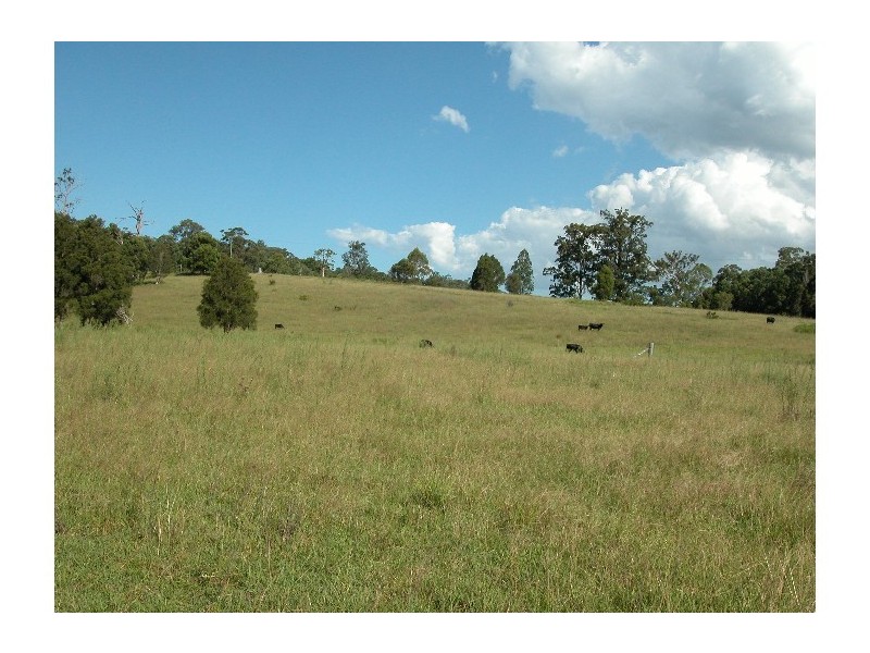 Burrell Creek NSW 2429