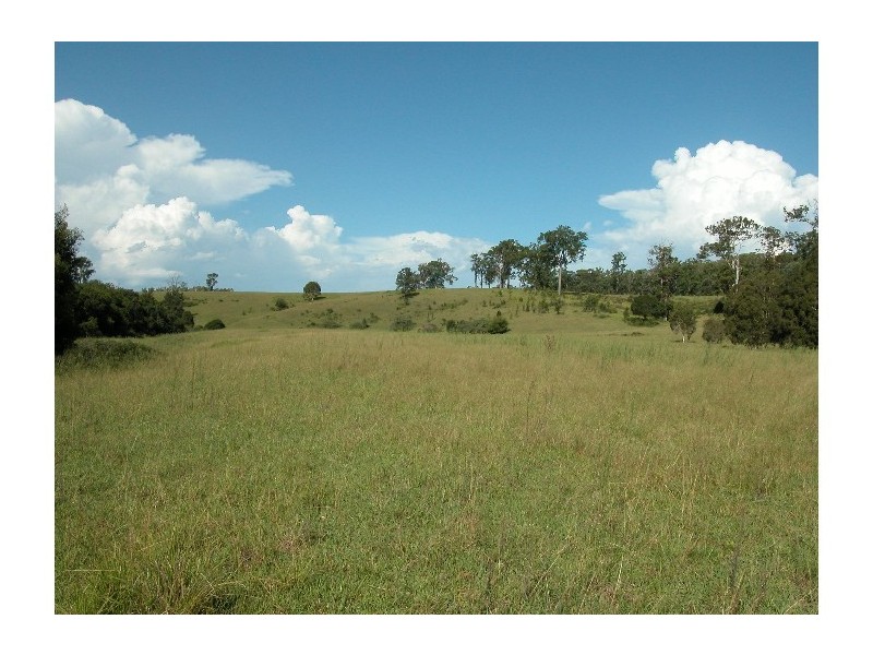 Burrell Creek NSW 2429