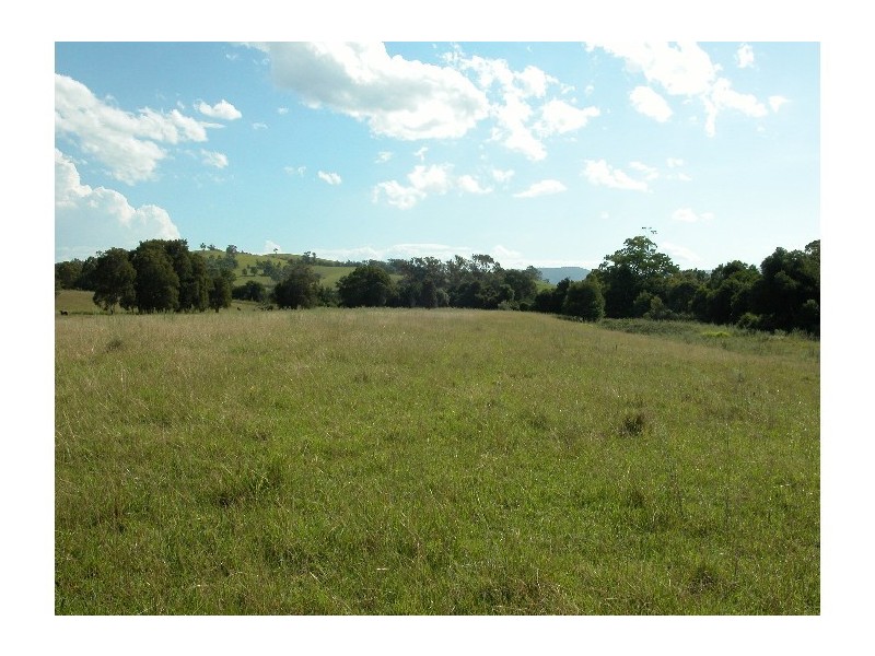 Burrell Creek NSW 2429