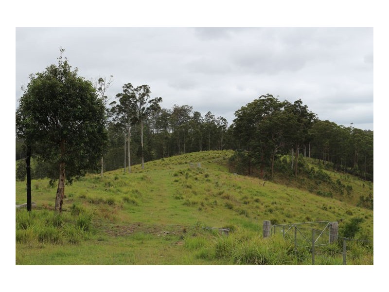 Doyles River NSW 2446