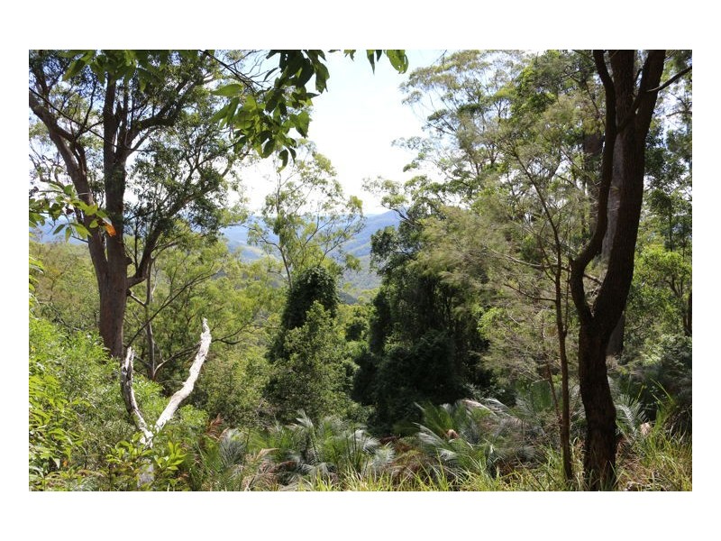 Caffreys Flat NSW 2424