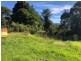 125 Glenwarrin Road, Elands NSW 2429