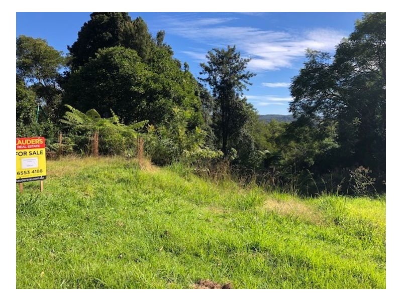 125 Glenwarrin Road, Elands NSW 2429