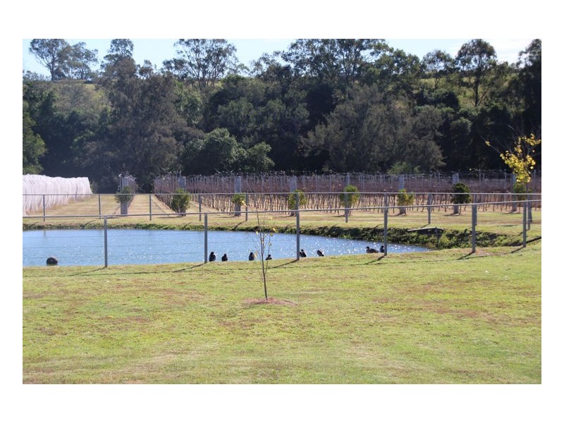 35 Appletree Street, Wingham NSW 2429