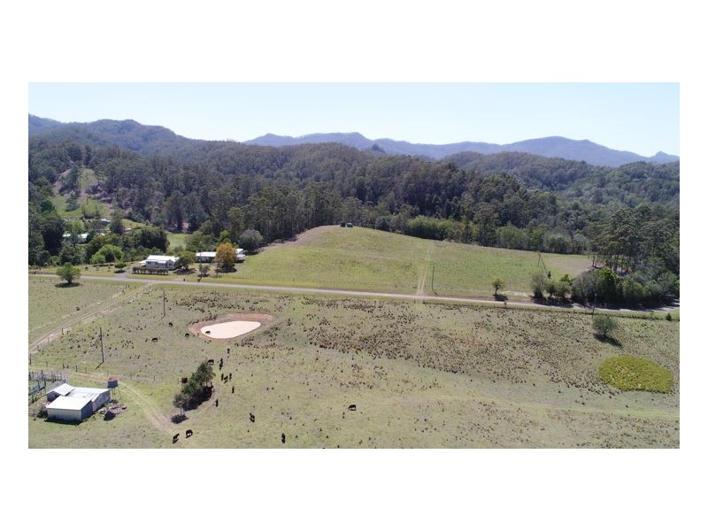 386 Mt Coxcombe Road, Upper Lansdowne NSW 2430