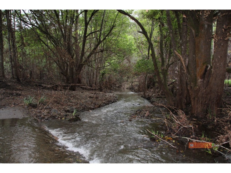 142 Littleback Creek Road, Marlee NSW 2429