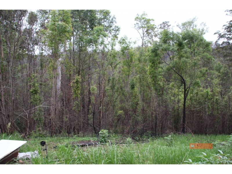 142 Littleback Creek Road, Marlee NSW 2429