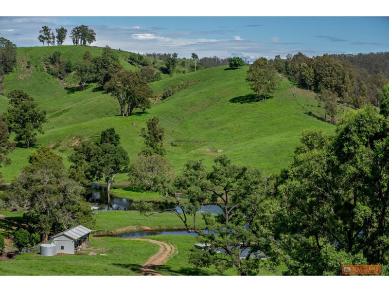 185 Plantation Lane, Cedar Party NSW 2429