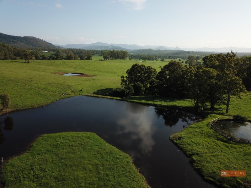 185 Plantation Lane, Cedar Party NSW 2429