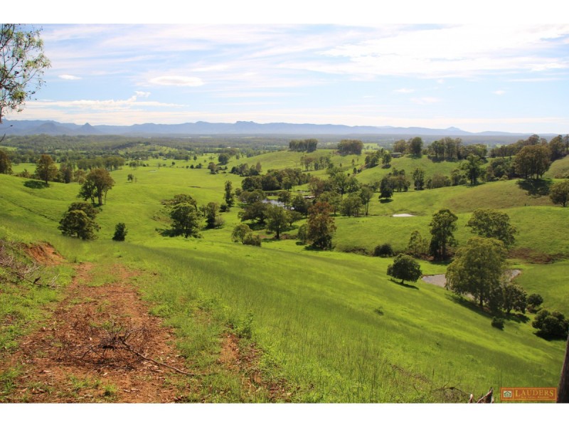 185 Plantation Lane, Cedar Party NSW 2429