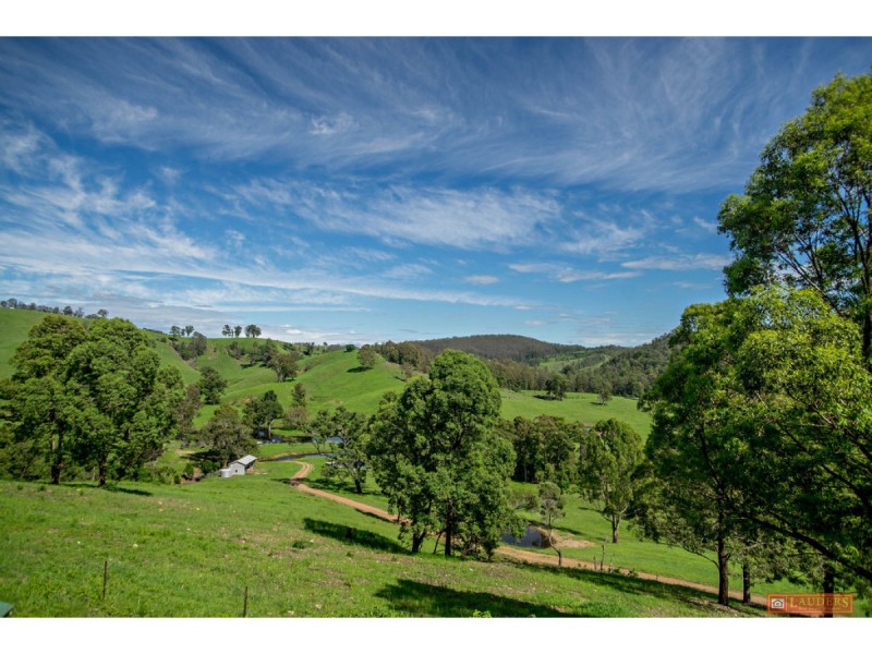 185 Plantation Lane, Cedar Party NSW 2429