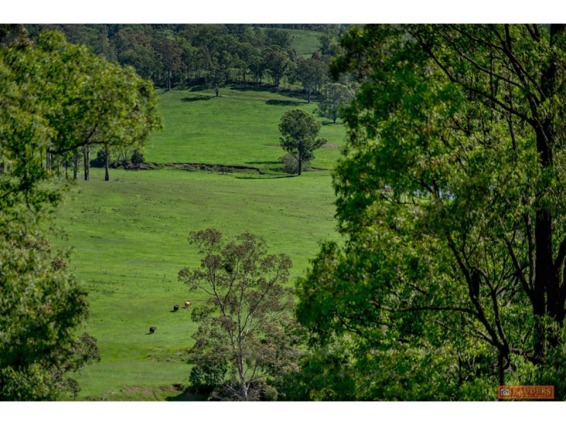 185 Plantation Lane, Cedar Party NSW 2429