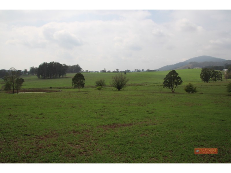 5162 The Bucketts Way, Burrell Creek NSW 2429