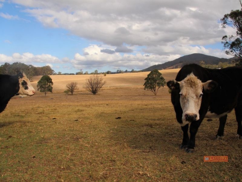 5162 The Bucketts Way, Burrell Creek NSW 2429
