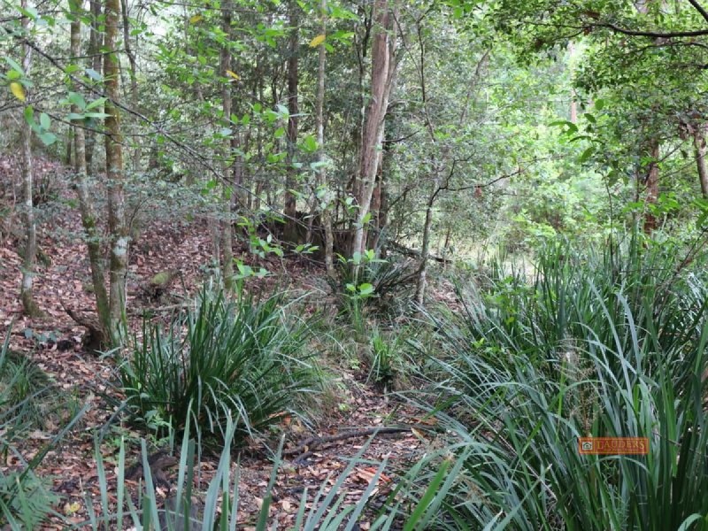 Lot 65 DP 754411, Doyles River NSW 2446