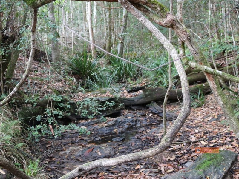 Lot 65 DP 754411, Doyles River NSW 2446