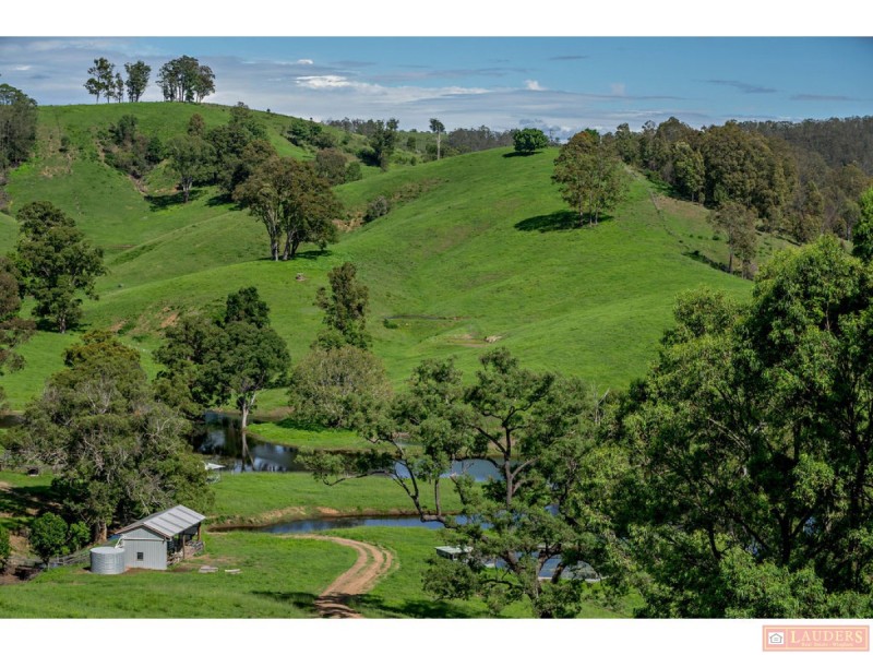 185 Plantation Lane, Cedar Party NSW 2429