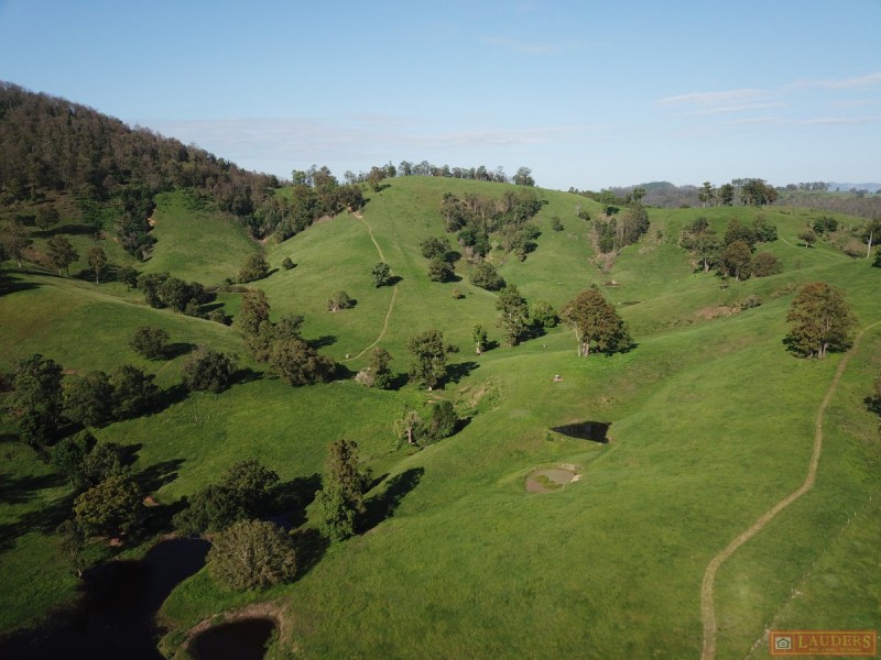 185 Plantation Lane, Cedar Party NSW 2429