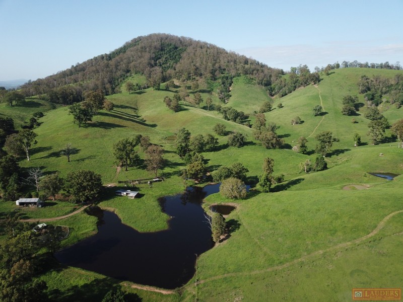 185 Plantation Lane, Cedar Party NSW 2429