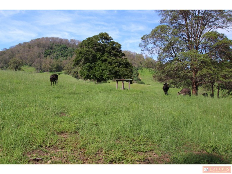 185 Plantation Lane, Cedar Party NSW 2429