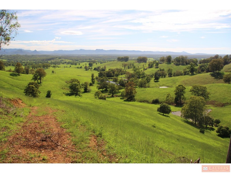 185 Plantation Lane, Cedar Party NSW 2429