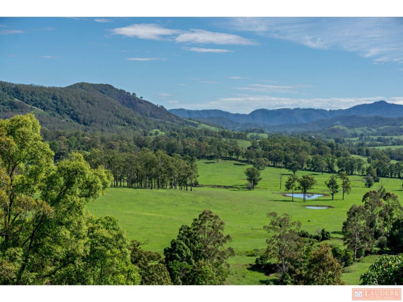 185 Plantation Lane, Cedar Party NSW 2429