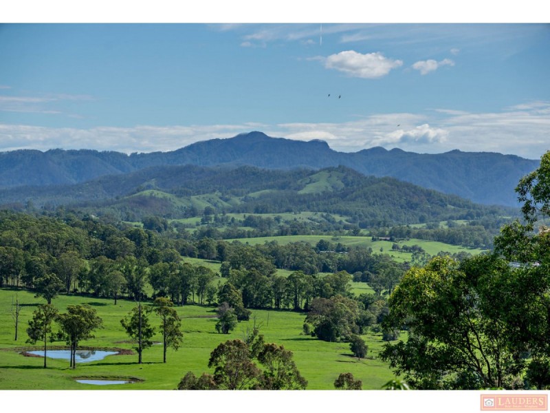 185 Plantation Lane, Cedar Party NSW 2429