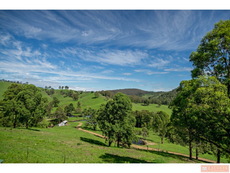 185 Plantation Lane, Cedar Party NSW 2429