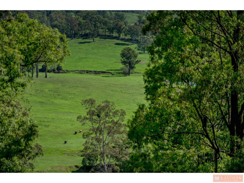 185 Plantation Lane, Cedar Party NSW 2429