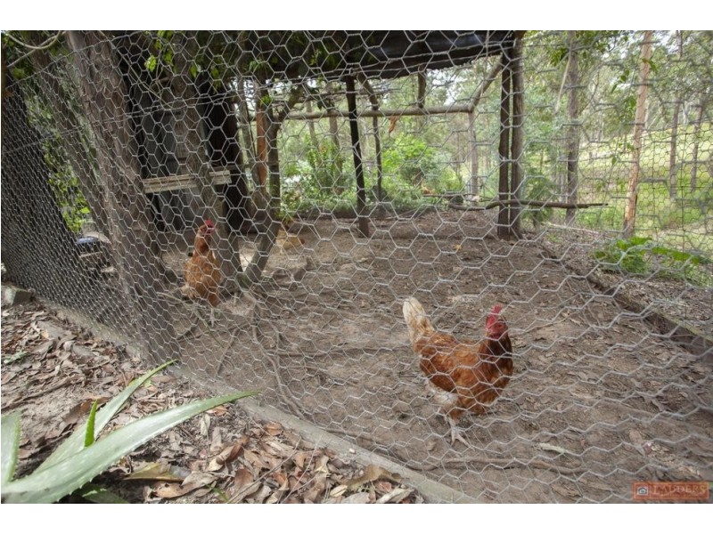 449 Nowendoc Road, Killawarra NSW 2429