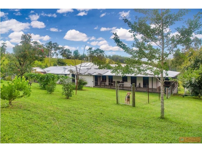 468 Turnback Road, Wherrol Flat NSW 2429