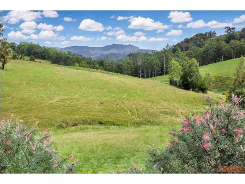 468 Turnback Road, Wherrol Flat NSW 2429