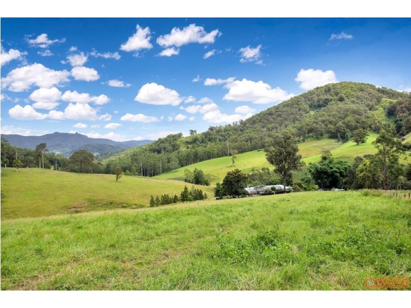 468 Turnback Road, Wherrol Flat NSW 2429