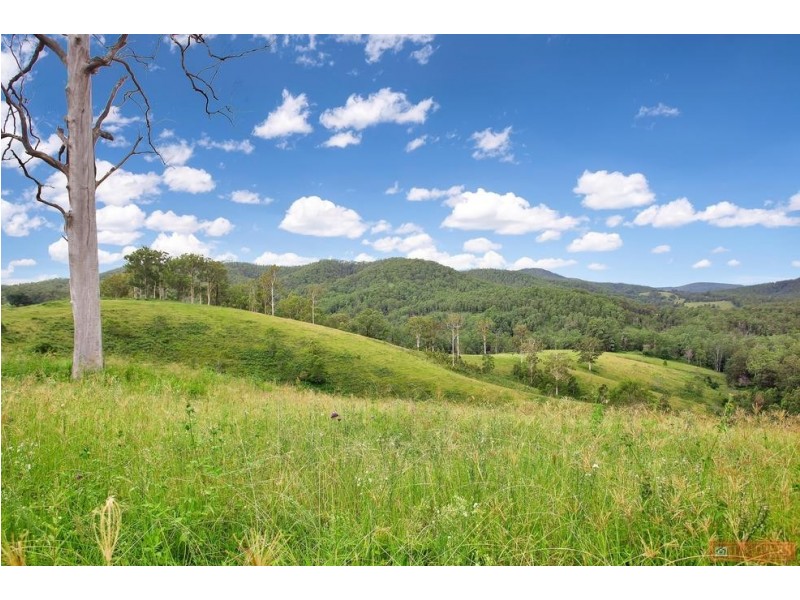 468 Turnback Road, Wherrol Flat NSW 2429