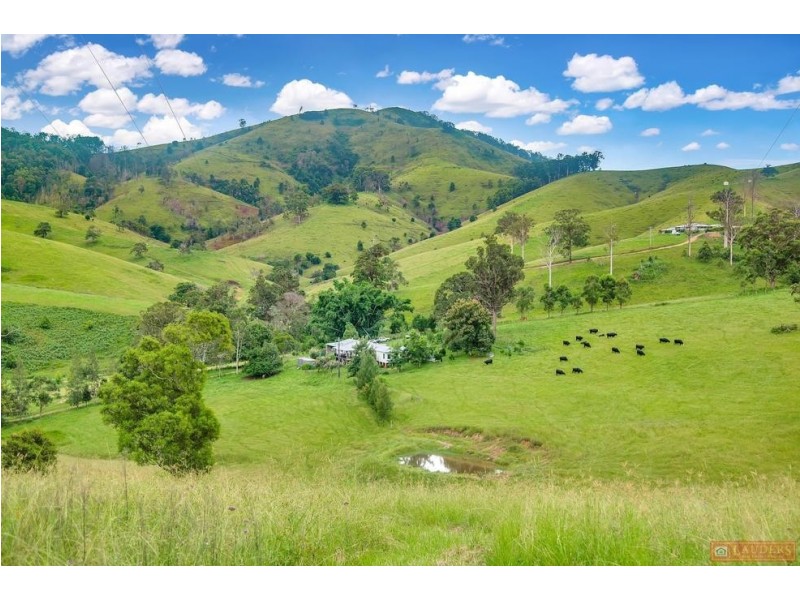 468 Turnback Road, Wherrol Flat NSW 2429