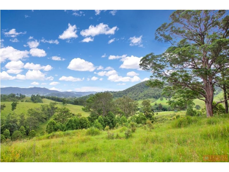 468 Turnback Road, Wherrol Flat NSW 2429