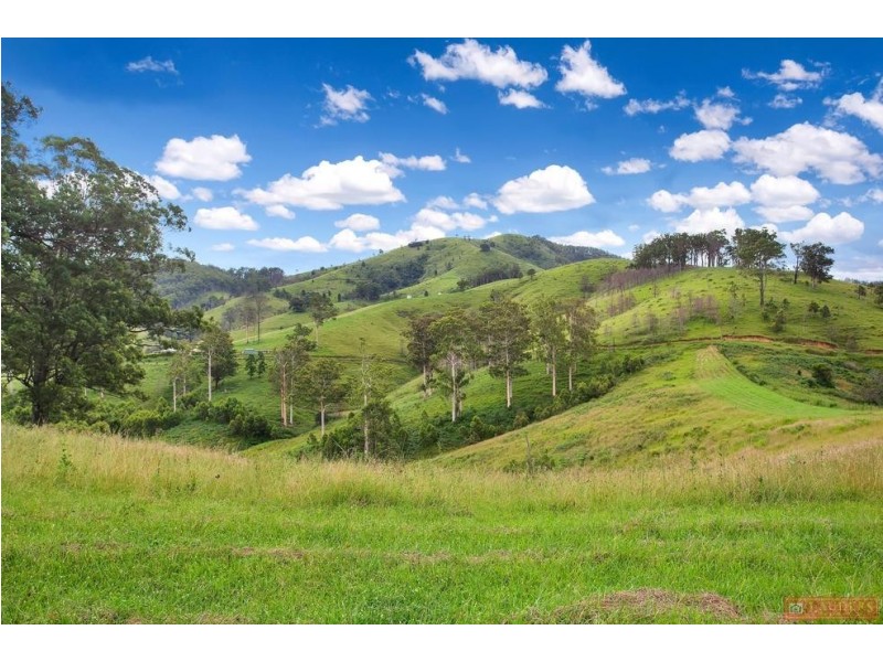 468 Turnback Road, Wherrol Flat NSW 2429