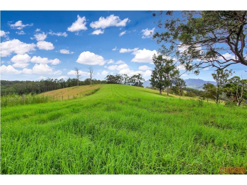 468 Turnback Road, Wherrol Flat NSW 2429