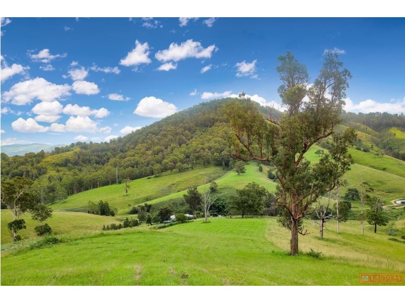 468 Turnback Road, Wherrol Flat NSW 2429