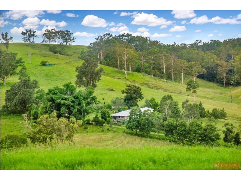 468 Turnback Road, Wherrol Flat NSW 2429