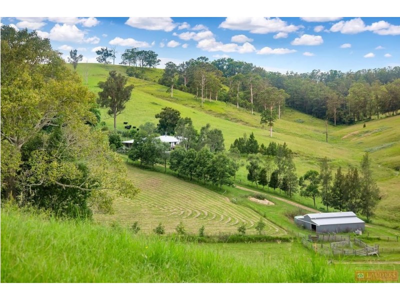 468 Turnback Road, Wherrol Flat NSW 2429