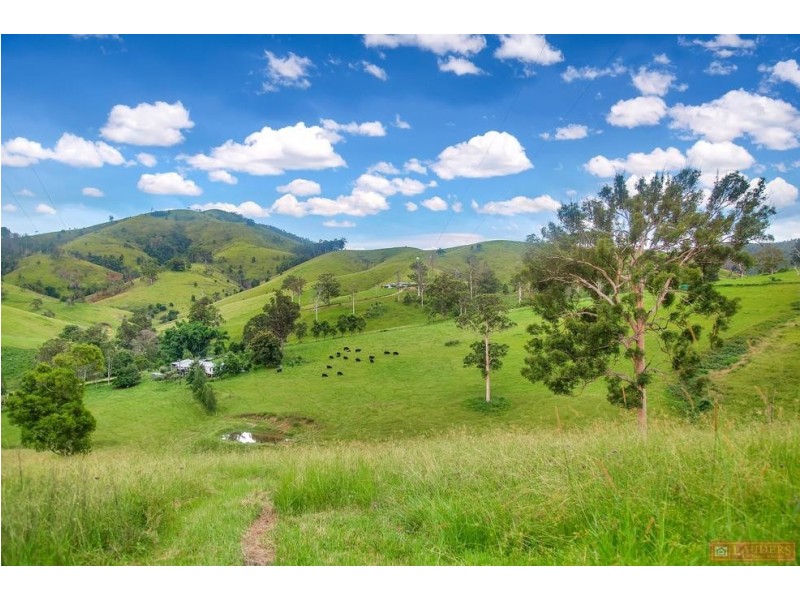 468 Turnback Road, Wherrol Flat NSW 2429